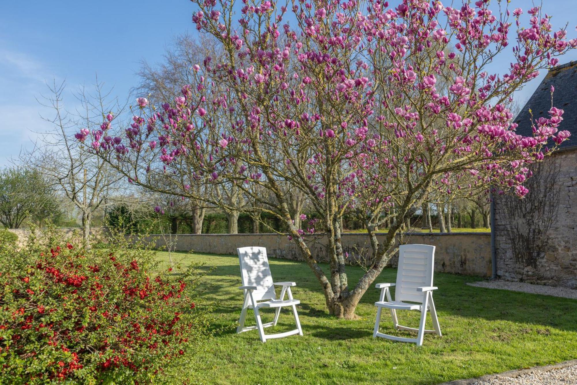 Chateau De Monceaux 5Mn De Bayeux Proche Mer Ngoại thất bức ảnh