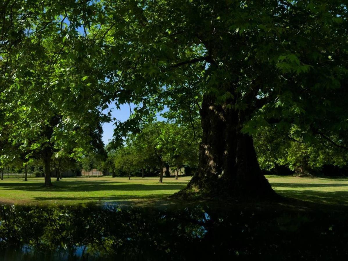 Chateau De Monceaux 5Mn De Bayeux Proche Mer Ngoại thất bức ảnh